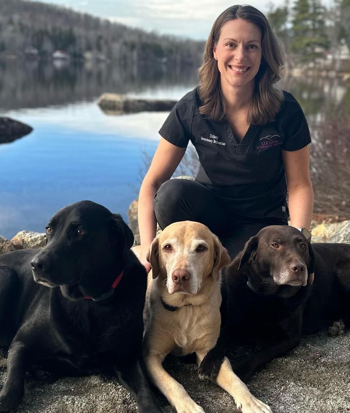 Veterinarians in Dedham Dedham ME Veterinarians